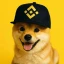PUP图标